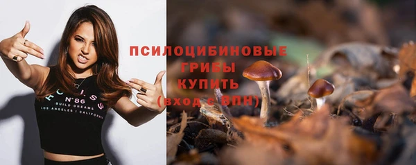 дмт Алексеевка