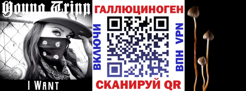 Галлюциногенные грибы MAGIC MUSHROOMS Коркино