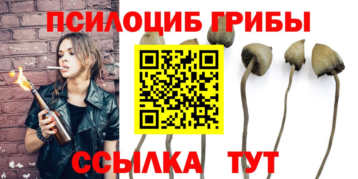 хочу   Галлюциногенные грибы Psilocybe  Галлюциногенные грибы мицелий  Вход с VPN  Коркино 
